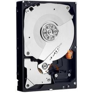 WESTERN DIGITAL 1TB WD1001FALS CAVIAR BLACK SATA2