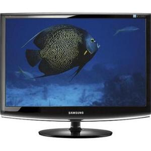 SAMSUNG SYNCMASTER 2433BW