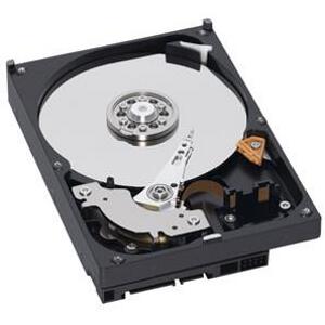 WESTERN DIGITAL WD10EARS 1TB CAVIAR GREEN SATA2