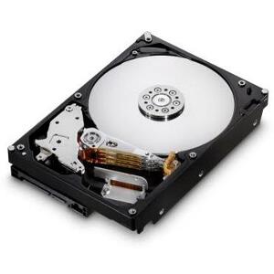 HGST HDS721010CLA332 1TB SATA2