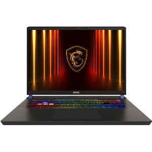 LAPTOP MSI VECTOR 17 HX AI A2XWIG 17'' QHD+ 240HZ INTEL CORE ULTRA 9-275HX 32GB 2TB RTX5080 W11P GR