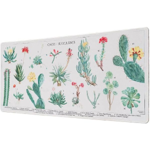 GRUPO ERIK BOTANICAL CACTI GAMING MOUSE PAD (ERIK62181)