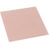 THERMAL GRIZZLY MINUS PAD 8 THERMAL PAD 100X100X1.0MM