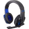 ESPERANZA EGH450 HEADPHONES WITH MICROPHONE AVANGER