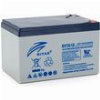 RITAR LEAD ACID BATTERIES /FOR ELECTRIC CARTS/ (EV12-12) AGM 12V / 12AH -151 / 98 /95 MM