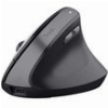 TRUST BAYO II ERGONOMIC WIRELESS MOUSE BLACK