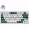 ΠΛΗΚΤΡΟΛΟΓΙΟ KEYCHRON Q1 HE Q1H-P1 QMK WHITE WIRELESS CUSTOM HALL EFFECT PURPLE SWITCH 75% US