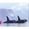SPEEDLINK SL-6242-ORCA SILK ORCA MOUSEPAD