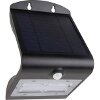 REV SOLAR LED BUTTERFLY WITH MOTION DETECTOR 3,2W BLACK 2091110400