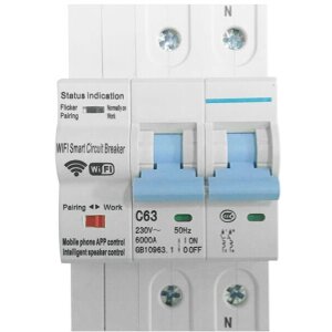 COOLSEER WIFI CIRCUIT BREAKER (2P) (POWER METER VERSION)