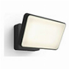 PHILIPS HUE DISCOVER LED FLOODLIGHT BLACK
