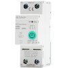 COOLSEER WIFI SMART SWITCH 2P WITH POWER METER COL-SSW2-63