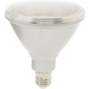 ΛΑΜΠΤΗΡΑΣ GEYER LED PAR38 15W E27 3000K 1100LM 12-24V AC/DC IP65