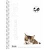 ΤΕΤΡΑΔΙΟ GLOBUS PET 004 17X25 3 ΘΕΜΑΤΩΝ