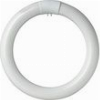 ΛΑΜΠΤΗΡΑΣ GEYER LED Τ9 ΚΥΚΛΙΚΗ 11W G10Q 6500K 1100LM