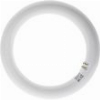 ΛΑΜΠΤΗΡΑΣ GEYER LED T9 ΚΥΚΛΙΚΗ 24W G10Q 6500K 2500LM