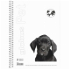 ΤΕΤΡΑΔΙΟ GLOBUS PET 003 17X25 2 ΘΕΜΑΤΩΝ