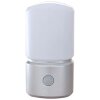 REV BATTERY LED SENSOR LIGHT WITH MOTION DETECTOR
