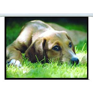 LLC PSAC-120 240X180 PROJECTOR SCREEN AUTOMATIC