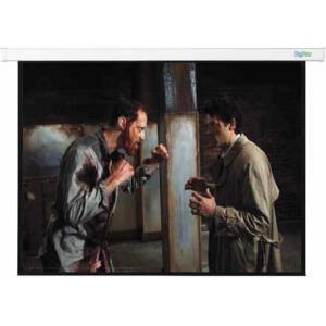 SKYVIEW PROJECTOR SCREEN ELECTRIC 240C 2360X1328MM