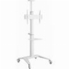 GEMBIRD ALUMINUM TV FLOOR STAND WITH CASTER WHEELS 37'-70' WHITE TVS-70T-02-W