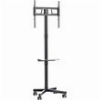 GEMBIRD TV FLOOR STAND TILT WITH CASTER WHEELS 32'-55' BLACK TVS-55T-03