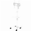 GEMBIRD TV FLOOR STAND TILT WITH CASTER WHEELS 32'-55' WHITE TVS-55T-03-W