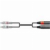 2R-2XM300 KΑΛΩΔΙΟ ΉΧΟΥ 2 X RCA PLUGS - 2 X XLR MALE 3M (ΤΕΜΑΧΙΟ)