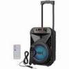KARAOKE PARTY SPEAKER SUPER BASS SOUNDMAN SM1809 20W