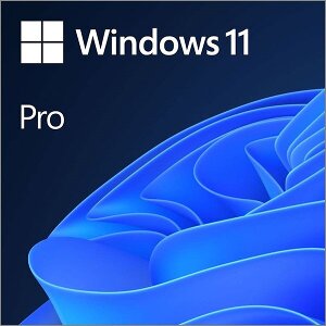 MICROSOFT WINDOWS 11 PRO 64BIT ENGLISH DVD