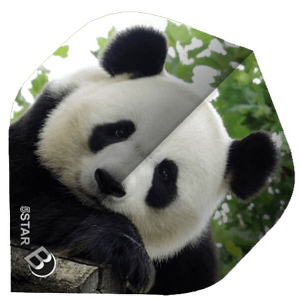 ΦΤΕΡΑ BULLS DART 5-STAR FLIGHTS A-STD PANDA