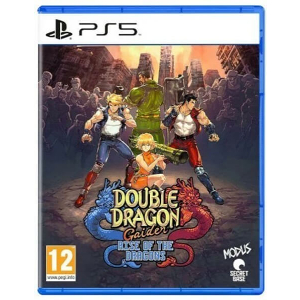 DOUBLE DRAGON GAIDEN: RISE OF THE DRAGONS