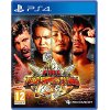 FIRE PRO WRESTLING WORLD