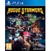ROGUE STORMERS