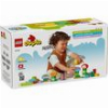 LEGO DUPLO 10444 CREATIVE GARDEN & FLOWERS
