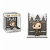 DELUXE: HARRY POTTER CHAMBER OF SECRETS - REMUS LUPIN WITH THE SHRIEKING SHACK #156