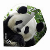 ΦΤΕΡΑ BULLS DART 5-STAR FLIGHTS A-STD PANDA