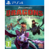 DRAGONS: DAWN OF NEW RIDERS