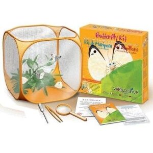 WORLD ALIVE BUTTERFLY KIT