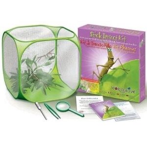 WORLD ALIVE STICK INSECT KIT