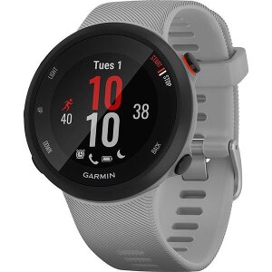 SPORTWATCH GARMIN FORERUNNER 45 PLUS GPS GRAY