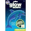 GLOW MORPH DOLPHIN