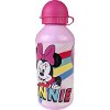 ΠΑΓΟΥΡΙ ΑΛΟΥΜΙΝΙΟΥ MINNIE 500ML