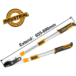 ΨΑΛΙΔΙ ΚΛΑΔΟΥ 30