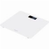 ADLER ELECTRIC BATHROOM SCALE WHITE AD8157W