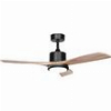 ΑΝΕΜΙΣΤΗΡΑΣ ΟΡΟΦΗΣ IQ CF-5213 MATT BLACK 52