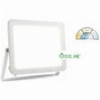 ΠΡΟΒΟΛΕΑΣ FOSME LED 50W ΛΕΥΚΟΣ