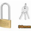 ΛΟΥΚΕΤΟ ΜΑΚΡΥΛΑΙΜΟ ΟΡΕΙΧΑΛΚΙΝΟ 30MM INGCO DBPL0302L